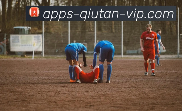 球探体育平台生态图