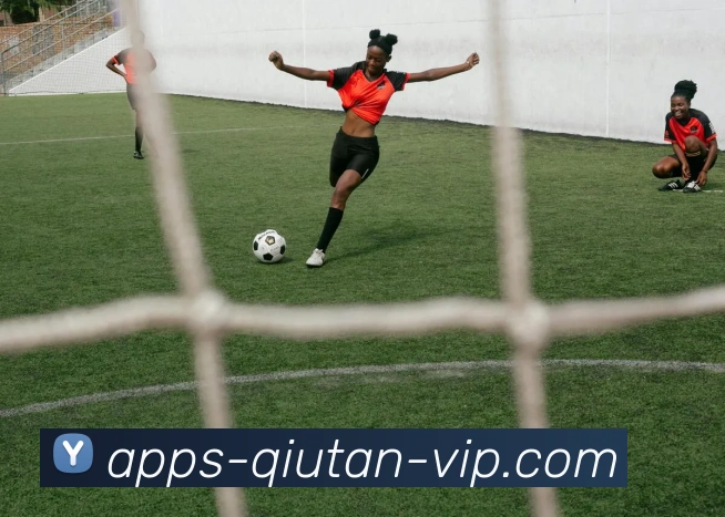 球探体育全站App